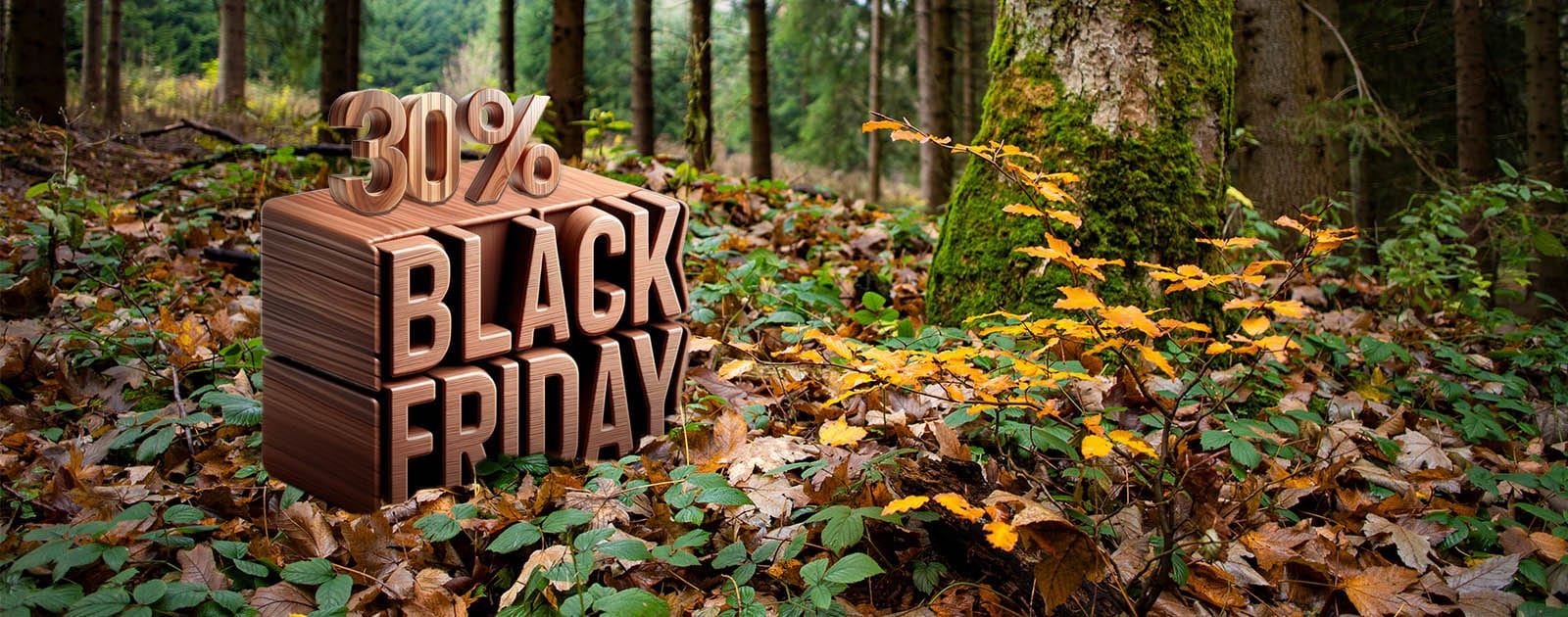 black friday amenity resorts